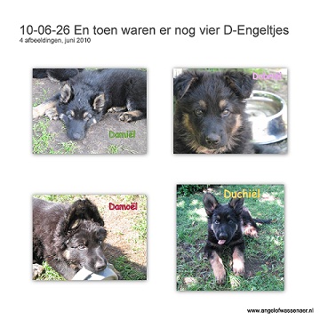 En nu is het nog even genieten van 4 Zwart-bruine Oudduitse Herder pups